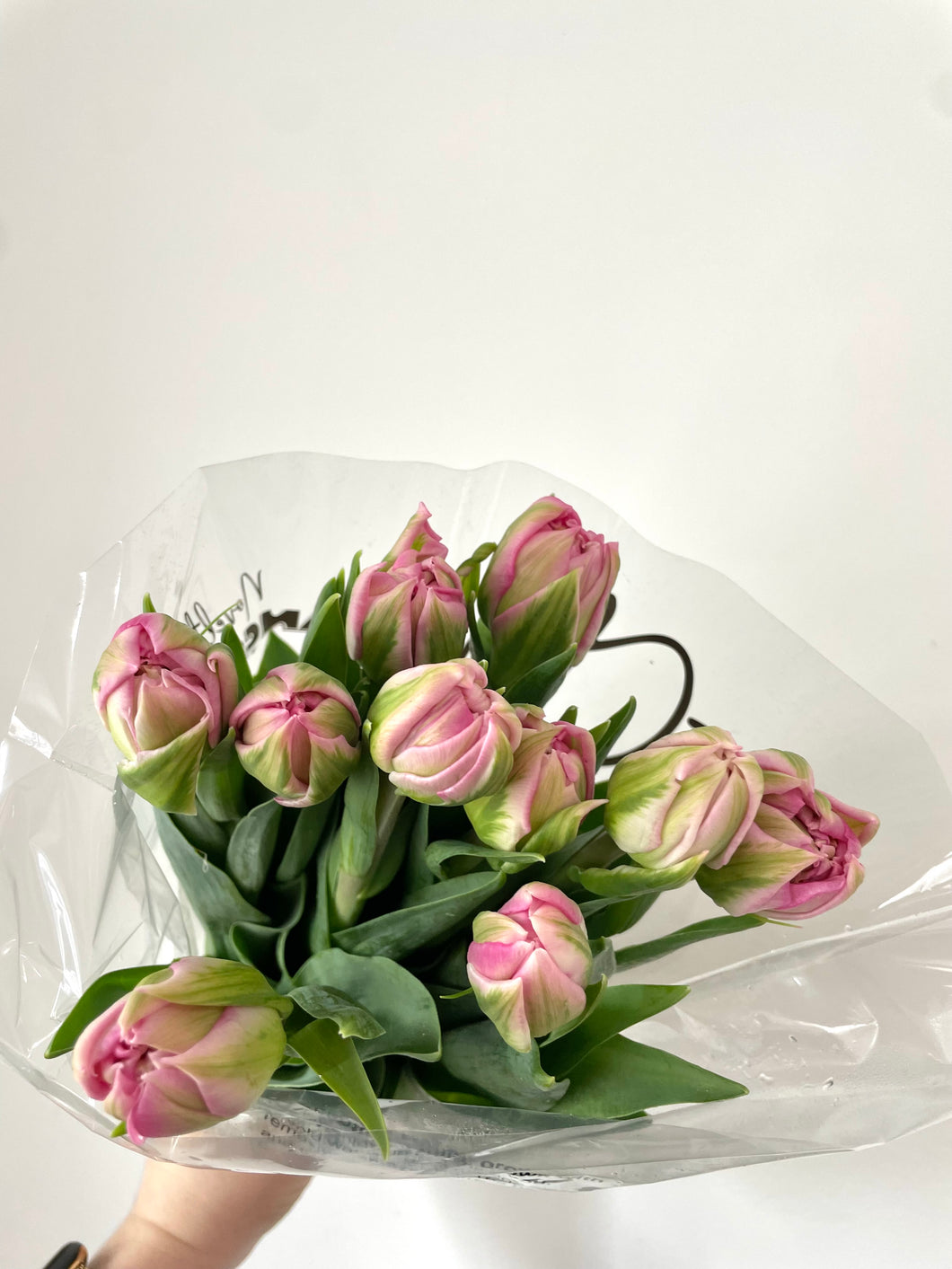 Vanco Double Tulip Bunches (In Stock Now!)