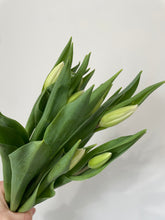 Load image into Gallery viewer, Ontario-Grown Mixed Tulip Bunches

