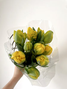Vanco Double Tulip Bunches (In Stock Now!)