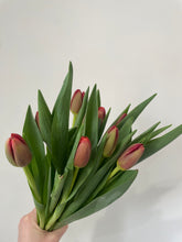 Load image into Gallery viewer, Ontario-Grown Mixed Tulip Bunches
