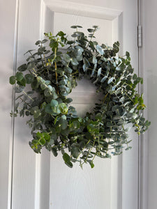 12” Fresh Eucalyptus Grapevine Wreath