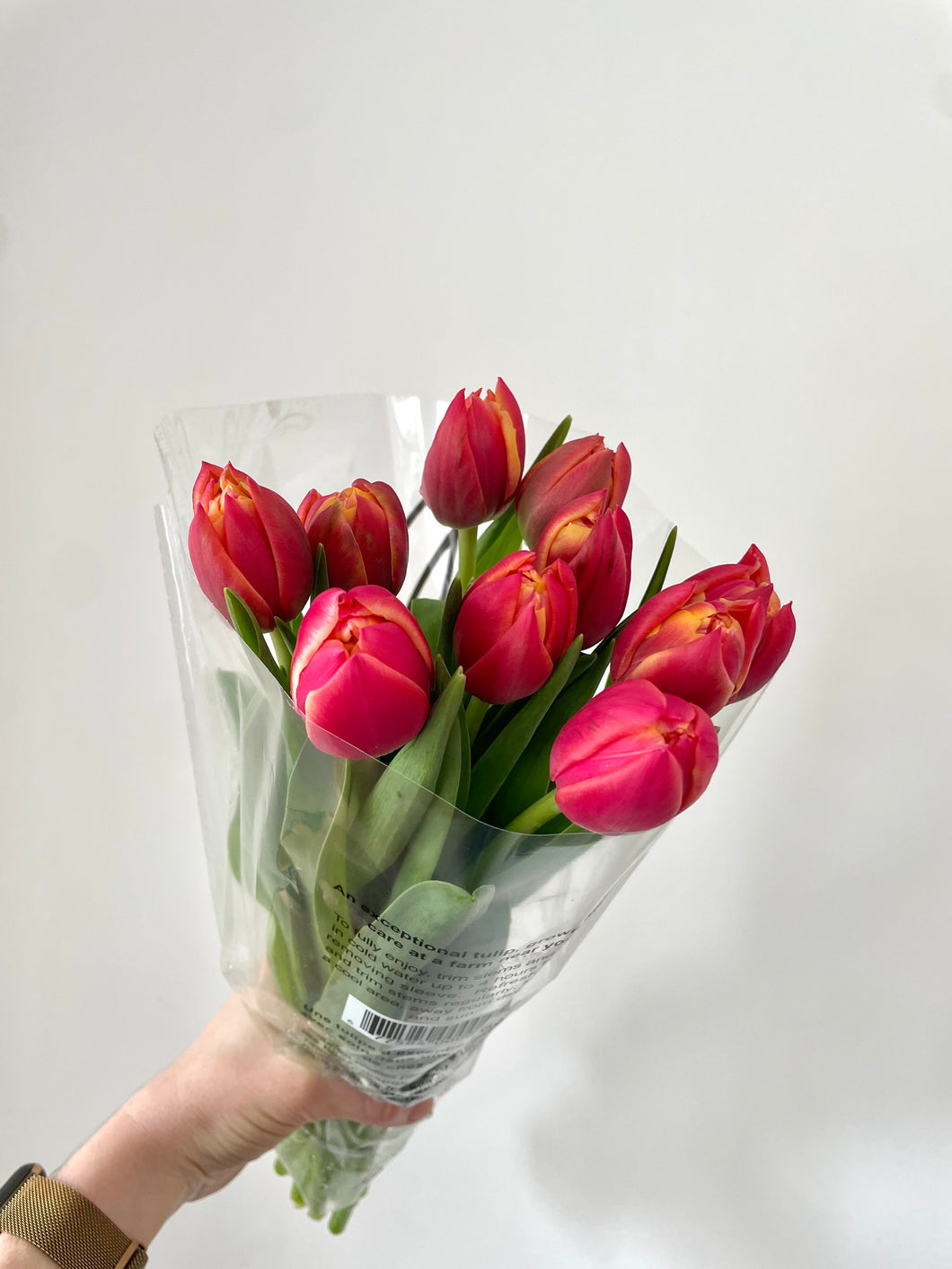 Double Tulip Bunch