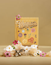Load image into Gallery viewer, Honey Bee Wildflowers (Creativity) - Seed Packet
