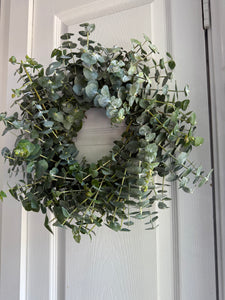 12” Fresh Eucalyptus Grapevine Wreath