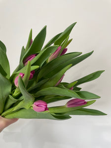Ontario-Grown Mixed Tulip Bunches
