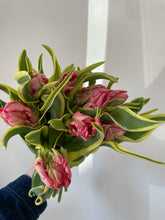 Load image into Gallery viewer, Frill/Parrot Tulip Bunches
