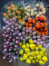 Load image into Gallery viewer, Vanco Double Tulip Bunches (In Stock Now!)
