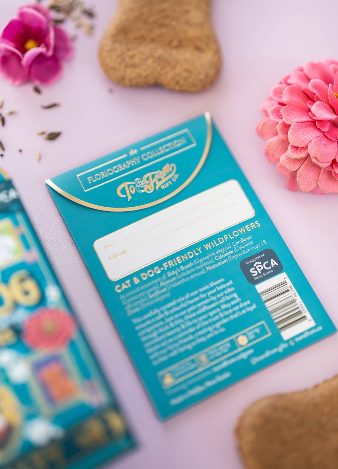 dog friendly flower seeds Cat and Dog-Friendly Wildflowers (Loyalty)