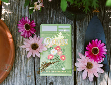 Load image into Gallery viewer, Painted Daisies (New Beginnings) - Floriography Seed Packet
